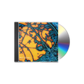 CD case and disc for 'Is This It' by The Strokes with a colorful abstract design on the cover.