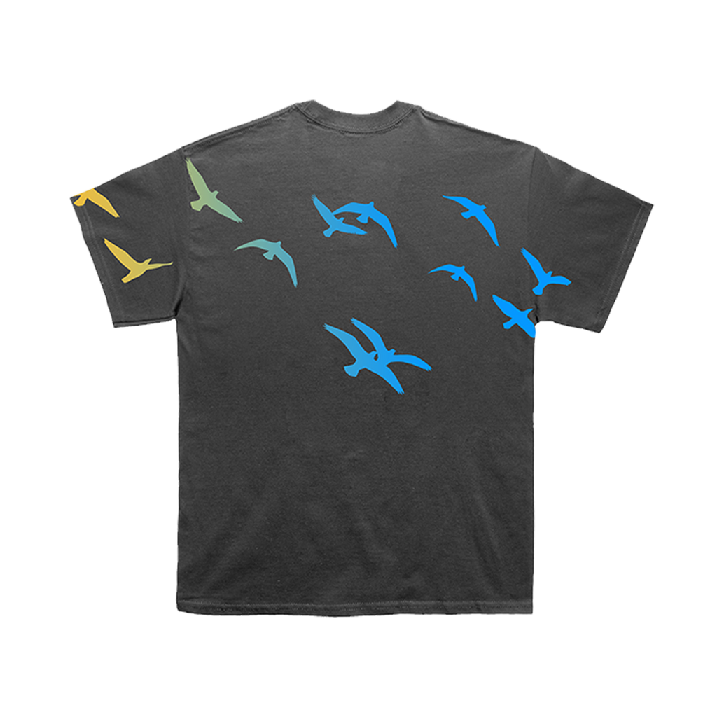 Gray t-shirt with colorful bird designs
